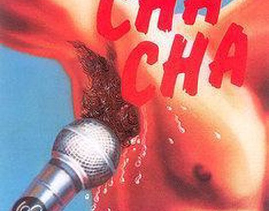 45 jaar geleden: “Cha cha” van Herman&nbsp;Brood