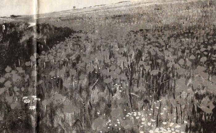 Dertig jaar geleden: Hongaarse&nbsp;schilderkunst