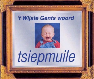 Tien jaar geleden: “Tsiepmuile” is populairste Gents&nbsp;dialectwoord