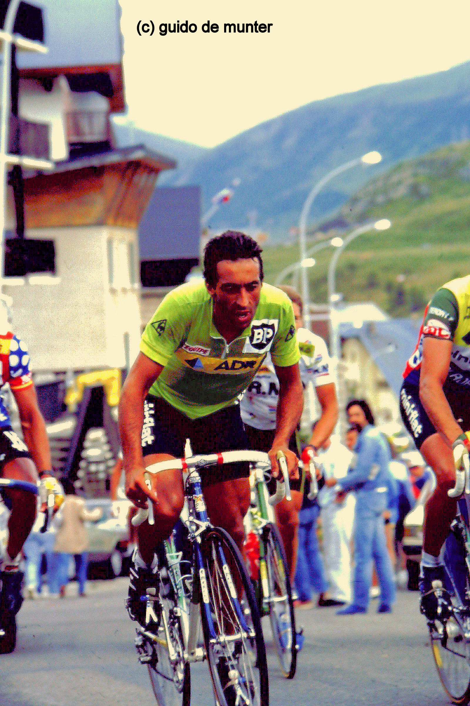 My beautiful picture