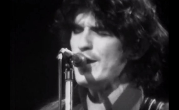 Rick Danko (1942-1999)