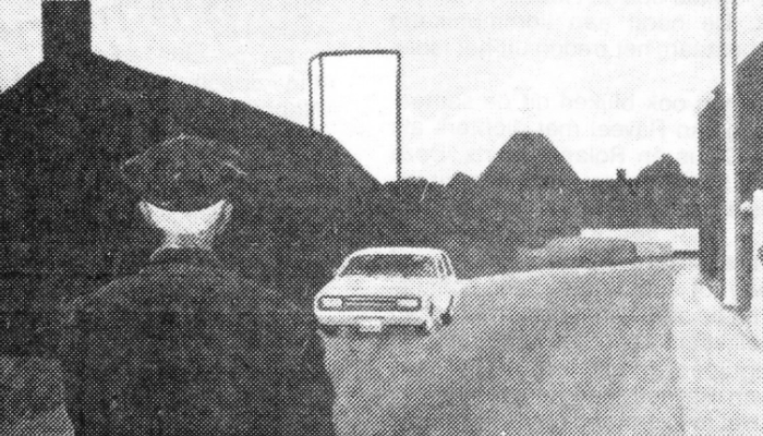 Roger Raveel (1921-2013)