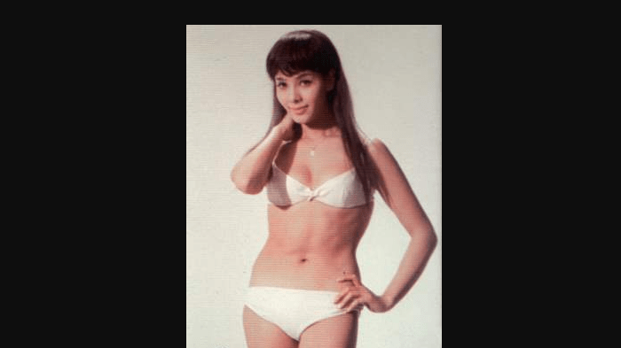 Nikki van der Zyl&nbsp;(1935-2021)