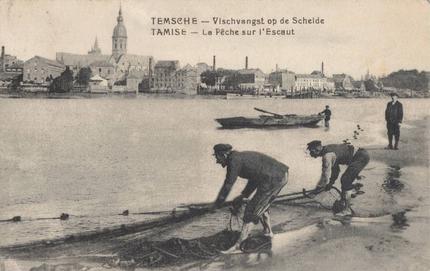 Vijf jaar geleden: de etymologie van Temse