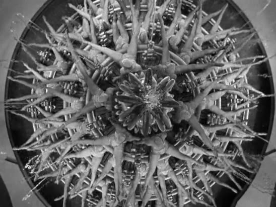 Busby Berkeley (1895-1976)