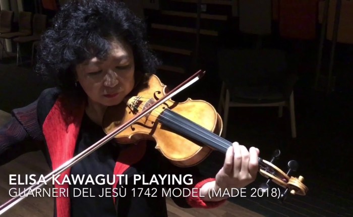 Twintig jaar geleden: Elisa Kawaguti&nbsp;ontslagen