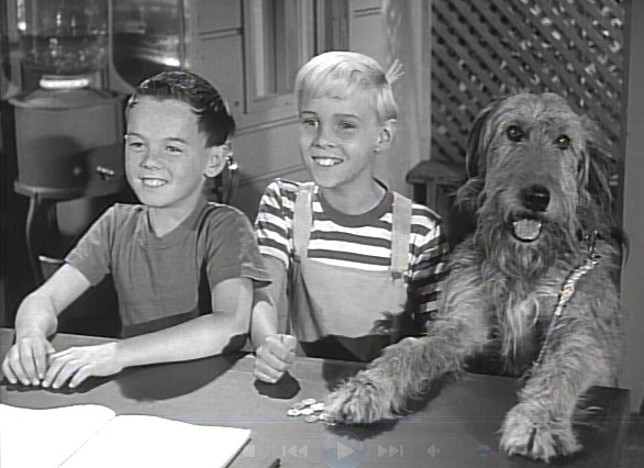 Jay North (1951-2025)