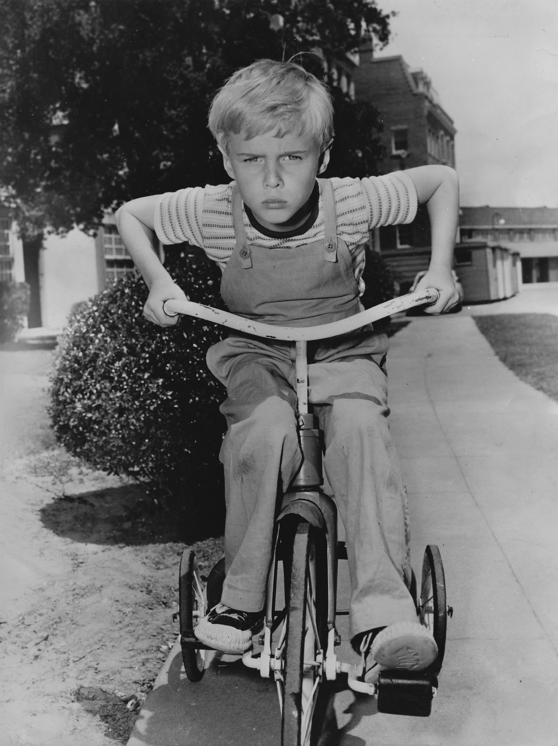 91 Dennis_the_Menace_Jay_North_1959