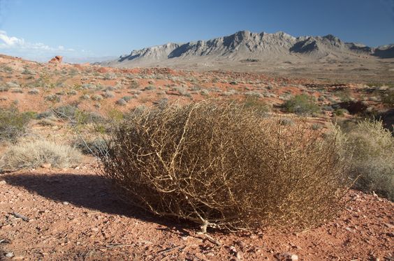 Vijftig jaar geleden: reis naar&nbsp;Texas