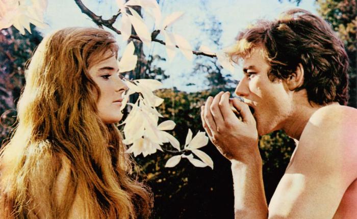 55 jaar geleden: uit het Blommenkindersdagboek (9)