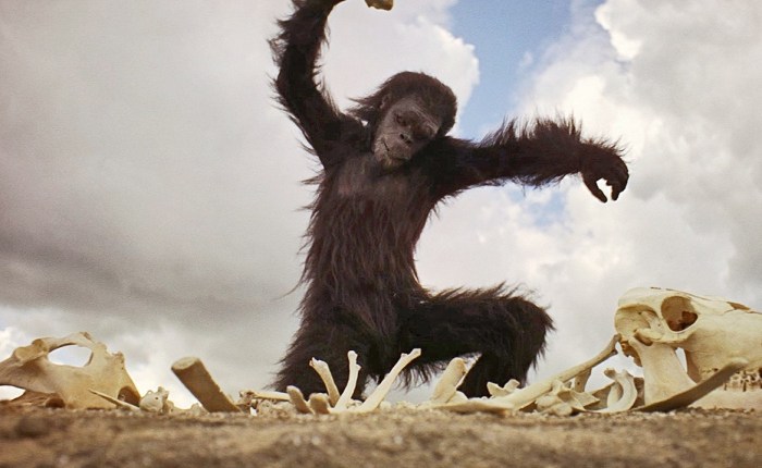 45 jaar geleden: “Tussen wolken en werkelijkheid”