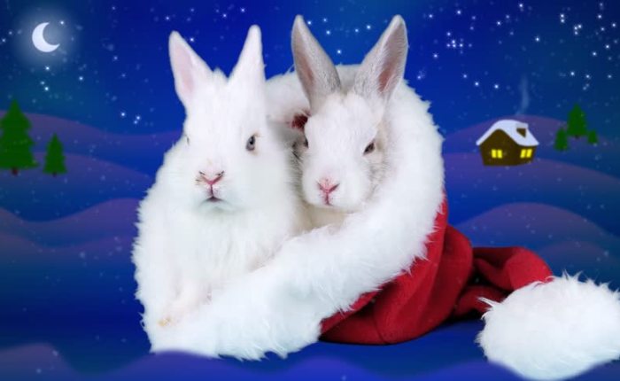 500 jaar geleden: Venetië is de eerste om nieuwjaar te vieren op 1&nbsp;januari