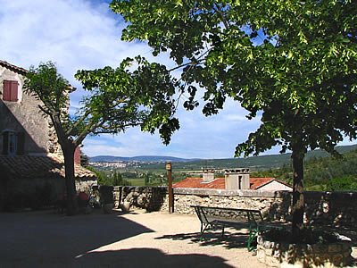 311987_2518610332418_165819856_n