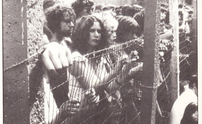 Prof.Verhellen (3): “De jeugd als slachtoffer”