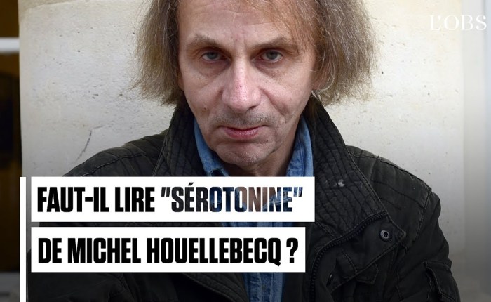 Vijf jaar geleden: “Serotonine” (Michel Houellebecq)