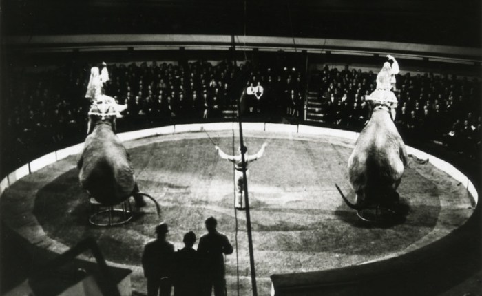Tachtig jaar geleden: laatste circus in “De Nieuwe&nbsp;Cirk”