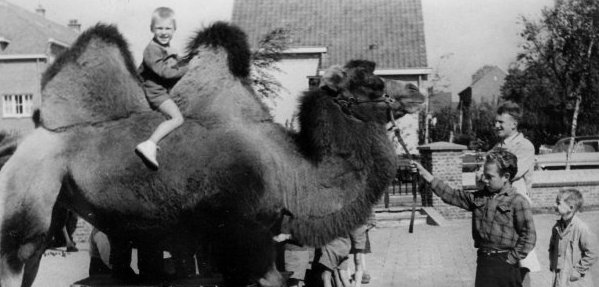 120 jaar geleden: opening van de Antoniusschool in&nbsp;Temse