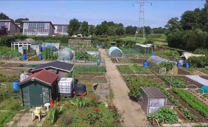 Vijf jaar geleden: het hoekje van Opa Adhemar&nbsp;(49)