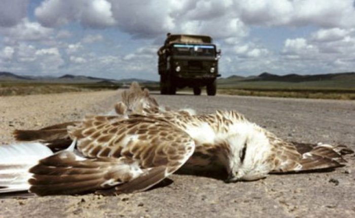 25 jaar geleden: cultuur in Gent&nbsp;(379)