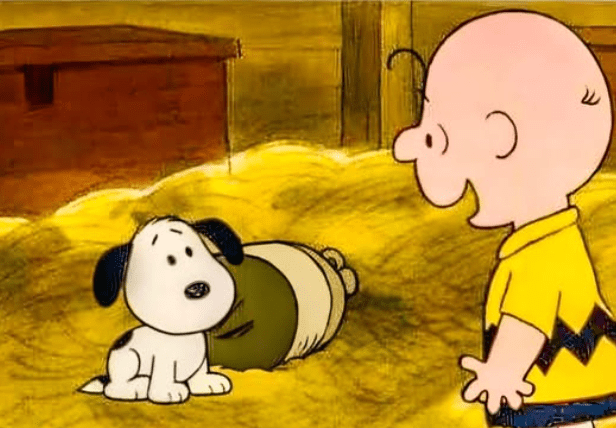 Snoopy wordt 75…