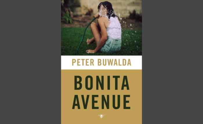 Tien jaar geleden: “Bonita Avenue” van Peter&nbsp;Buwalda