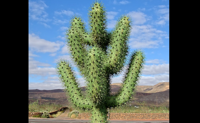 Twintig jaar geleden: cultuur in&nbsp;Gent