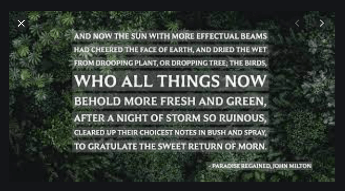 Het hoekje van Opa Adhemar&nbsp;(67)