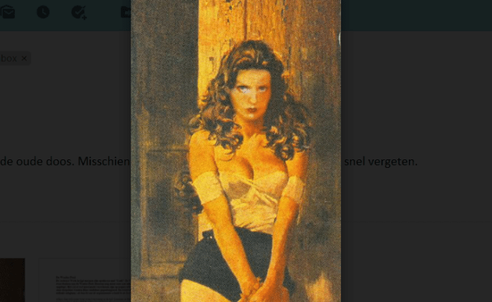 Theo’s Buitelingen (27): De Waalse&nbsp;Pool