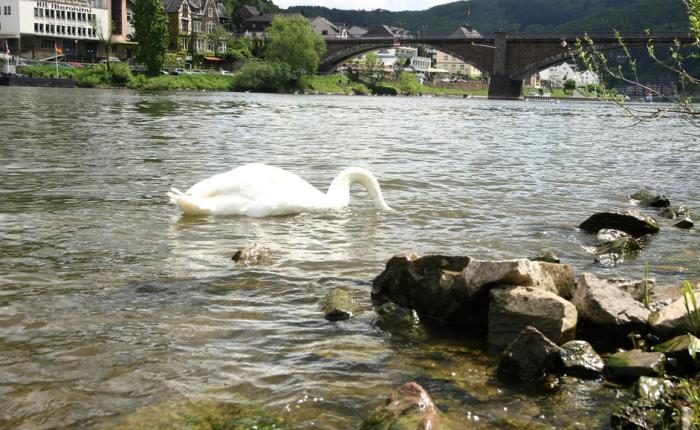 Het hoekje van Opa Adhemar&nbsp;(79)