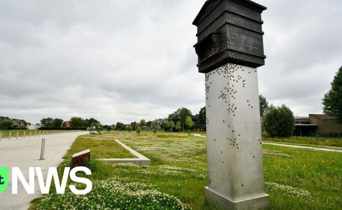 De peperbus van nonkel Miele (9): Letse&nbsp;Waffen-SS