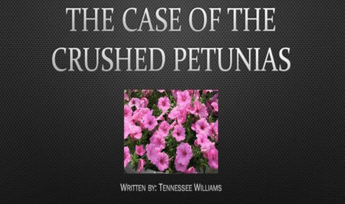 25 jaar geleden: cultuur in Gent&nbsp;(877)