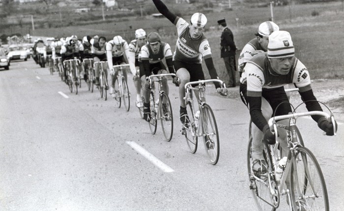 Theo’s Buitelingen (47): Peter en de&nbsp;Treurtukker