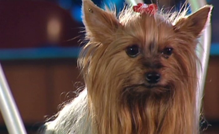 Het hoekje van Opa Adhemar&nbsp;(107)