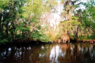 220 jaar geleden: Frankrijk verkoopt Louisiana aan de&nbsp;VS