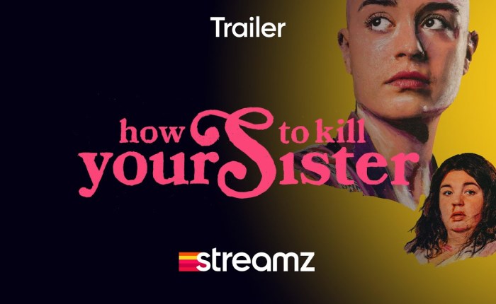 “How to kill your&nbsp;sister”