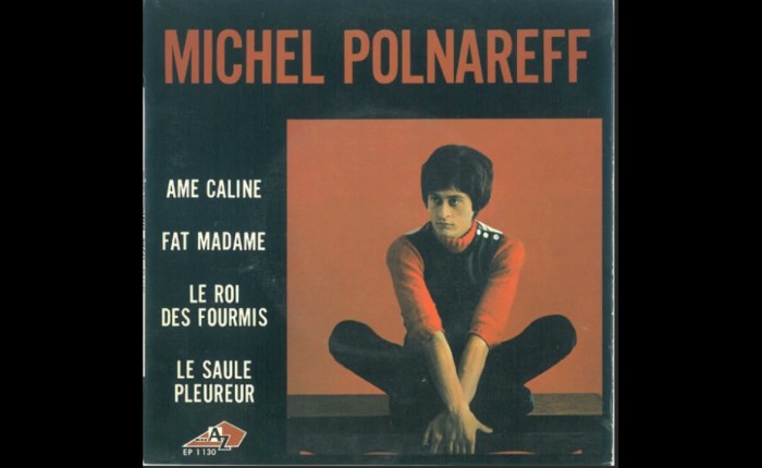 55 jaar geleden: “Âme câline” van Michel Polnareff