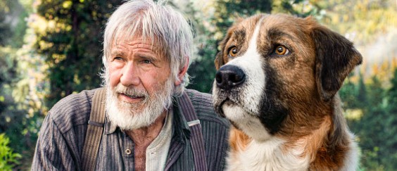 “The call of the&nbsp;wild”